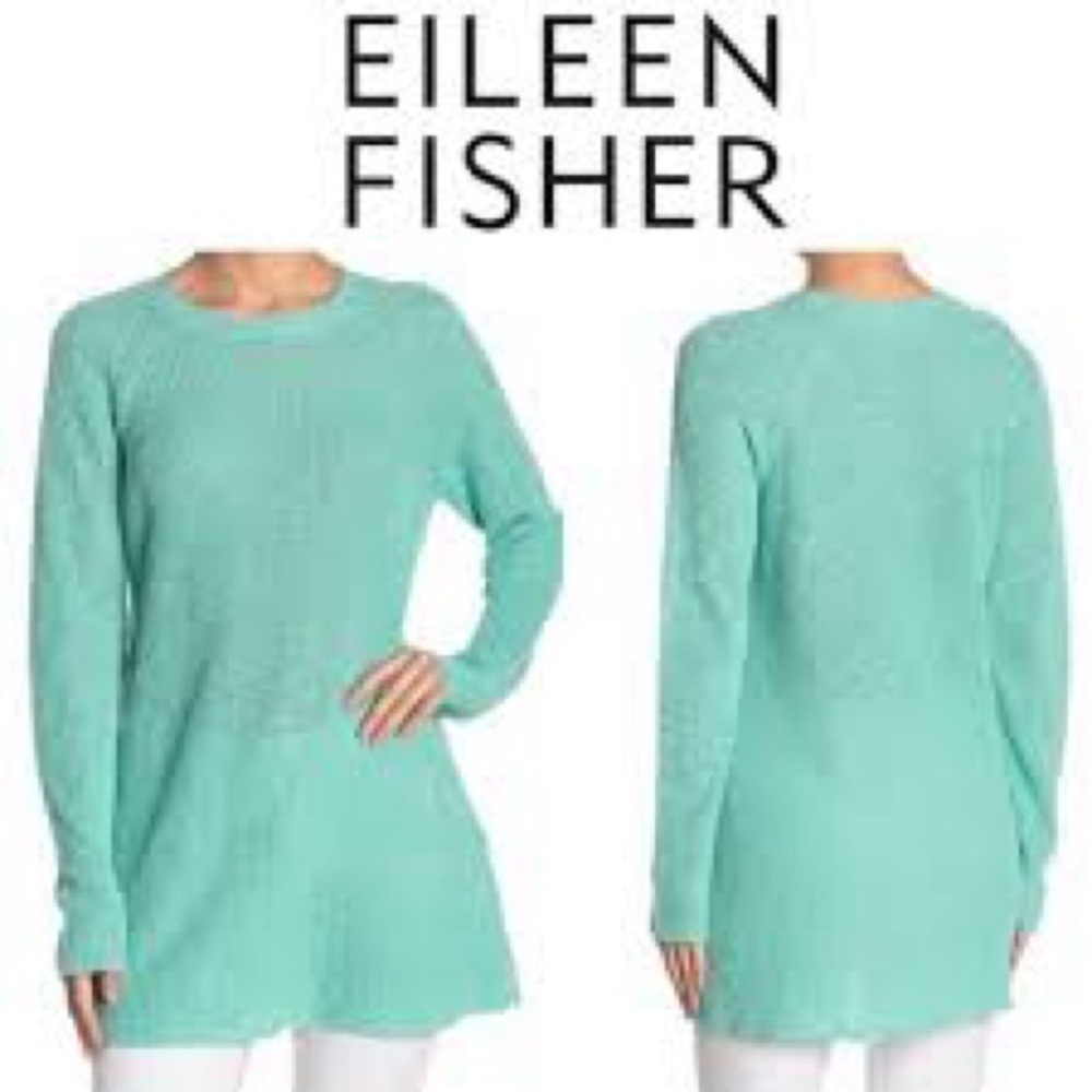 Eileen Fisher Women's Mint Green Organic Linen Crew Neck Sweater